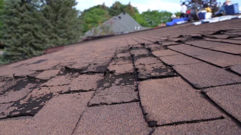  Three Rivers, MI Roofing Service Pros